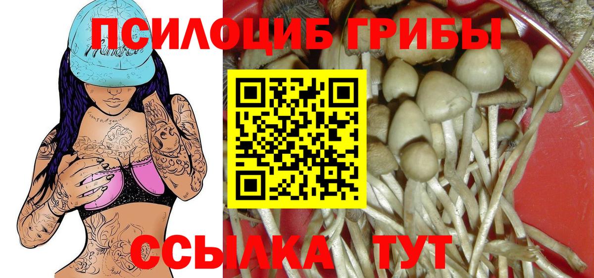 Псилоцибиновые грибы Psilocybe  Вход с VPN  Лангепас 